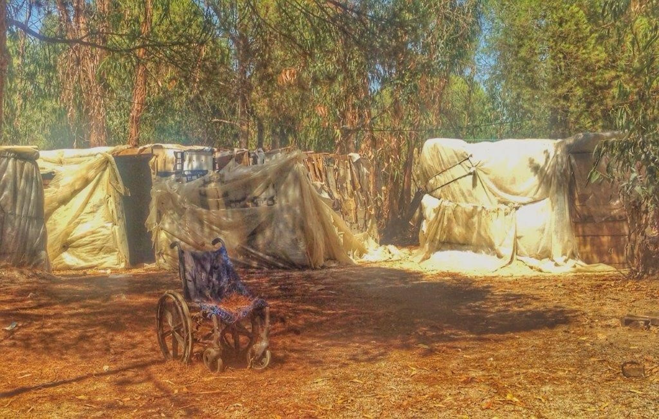 foto-campamento-migrantes-ilegales-para-la-fresa-en-Huelva-23-de-julio-2015